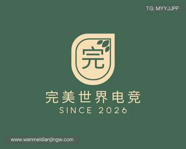 发现完美电竞